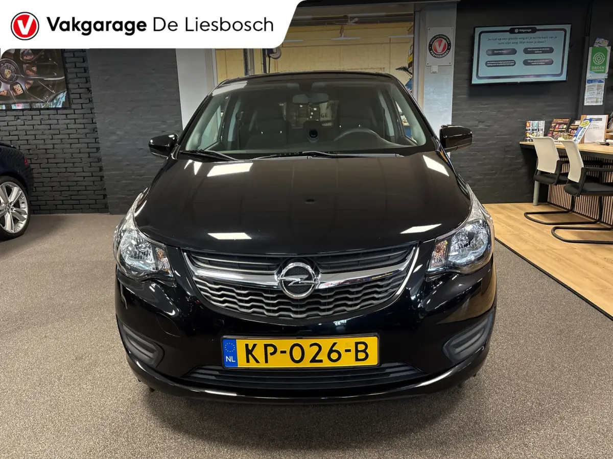 1.0 ecoFLEX Edition/airco/cruise control/pdc/boeken/net beurt gehad
