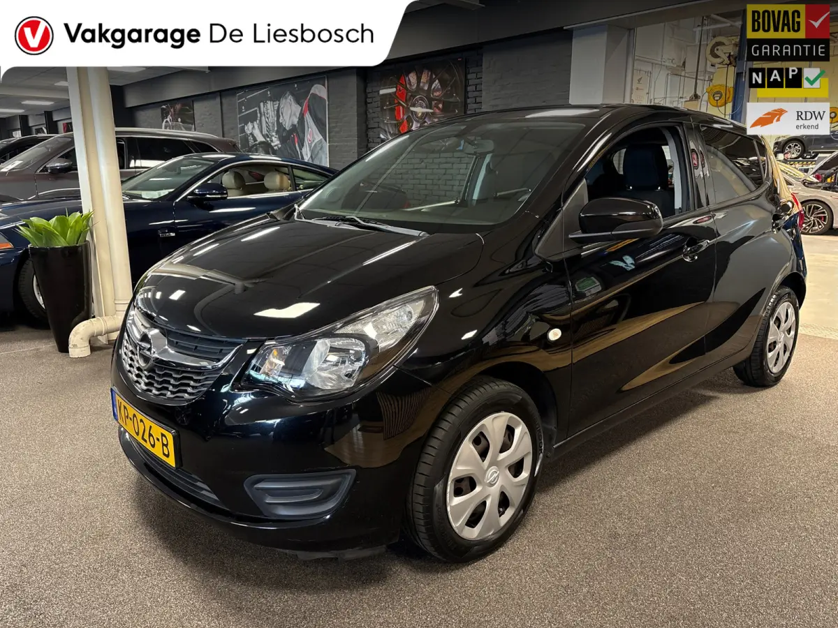 1.0 ecoFLEX Edition/airco/cruise control/pdc/boeken/net beurt gehad
