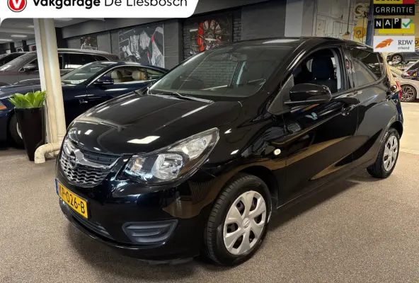 1.0 ecoFLEX Edition/airco/cruise control/pdc/boeken/net beurt gehad