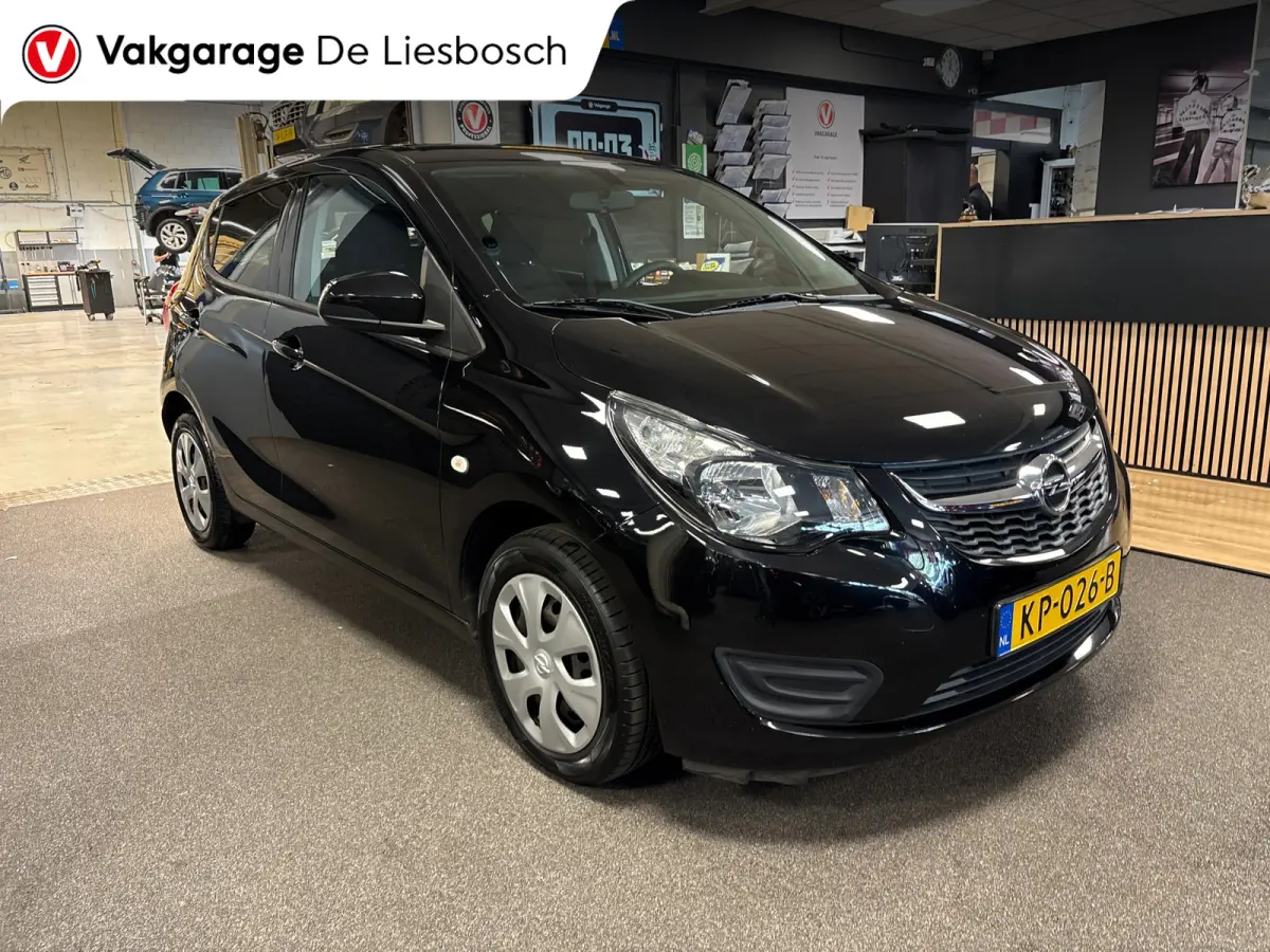 1.0 ecoFLEX Edition/airco/cruise control/pdc/boeken/net beurt gehad
