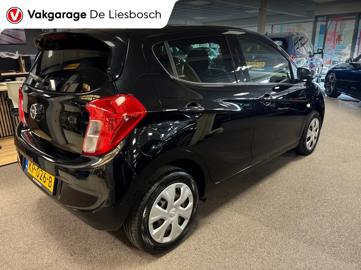 1.0 ecoFLEX Edition/airco/cruise control/pdc/boeken/net beurt gehad