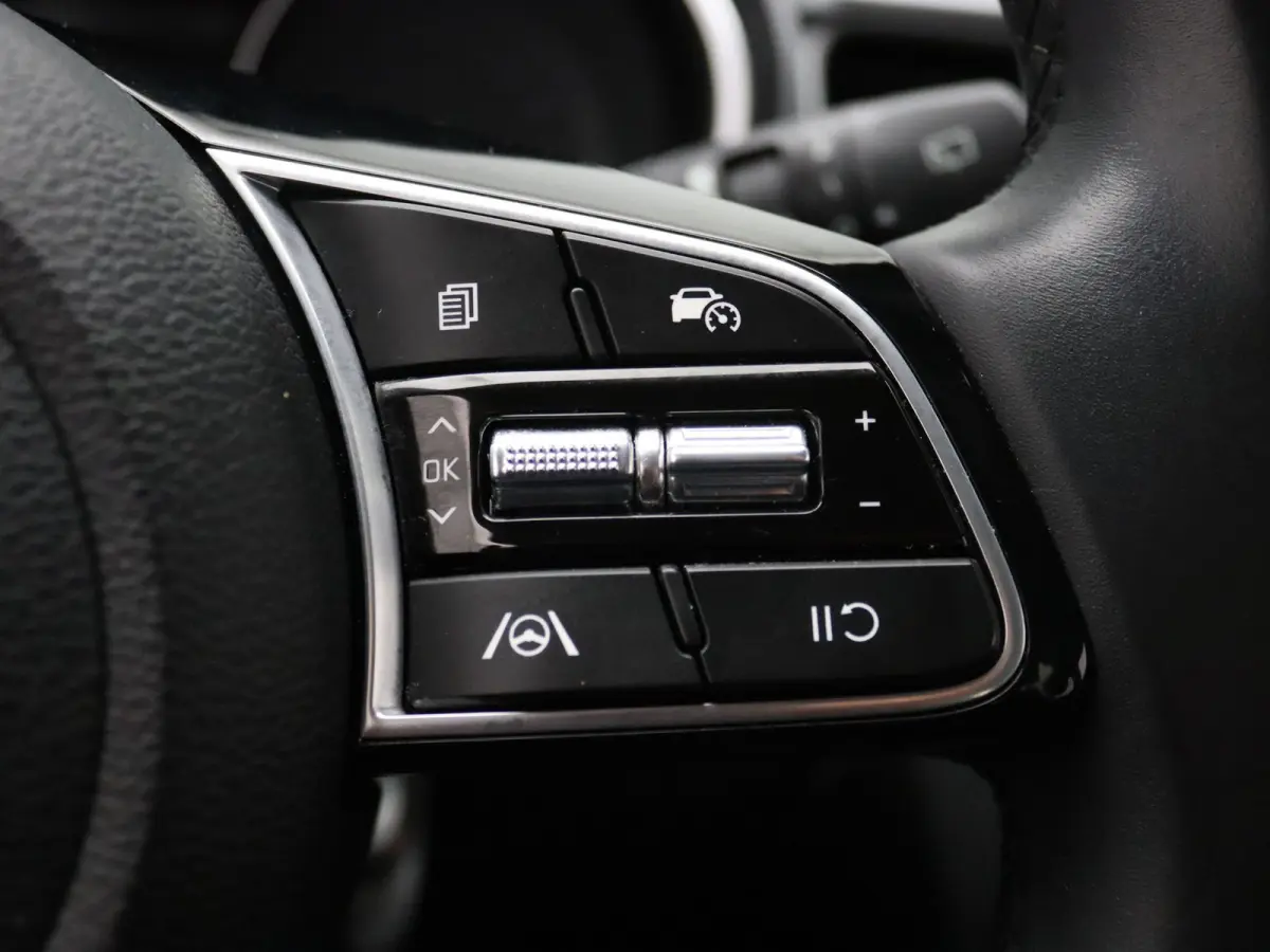 160pk T-GDi DynamicLine Apple Carplay/Android Auto | Climate