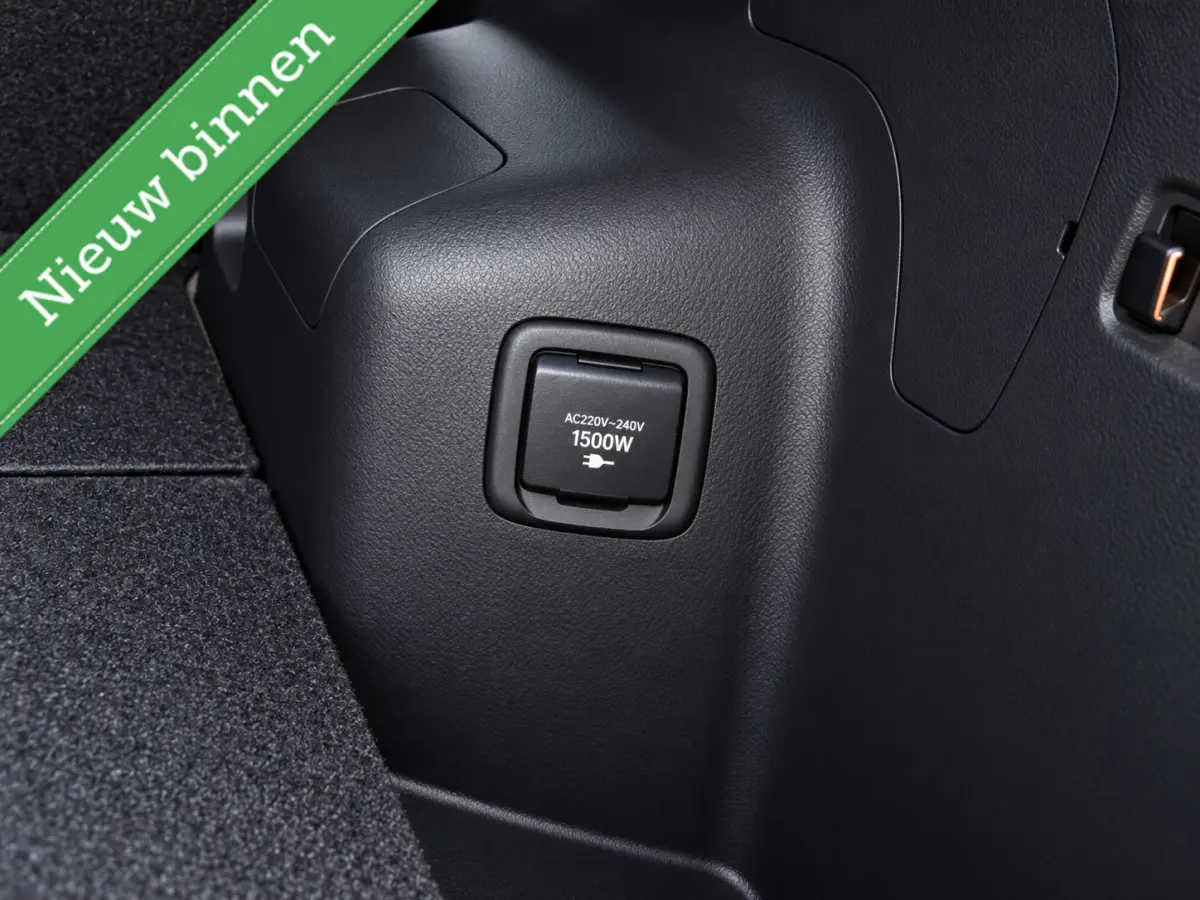 2.4 PHEV Instyle 360°CAMERA/PANODAK/LEDER/STOELVW./ETC.!