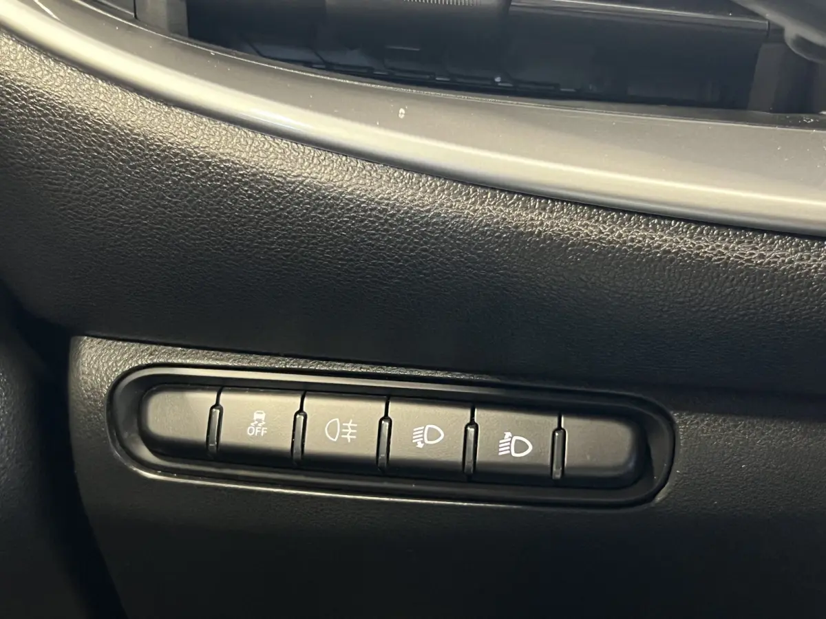 Icon 42 kWh | SoH 93.6% | Navigatie/Android/Apple Carplay | LM Velgen 16" | Cruise Control | DAB | Cruise Control | Airco |