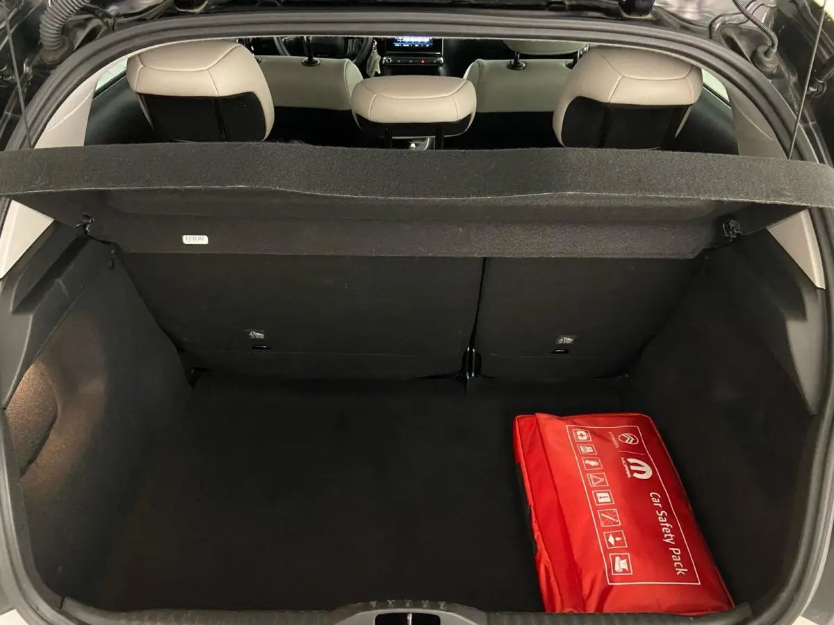 1.2 Feel Edition Citroen C3 1.2 PureTech Feel Edition | Navigatie | Apple Carplay/Android Auto | Camera