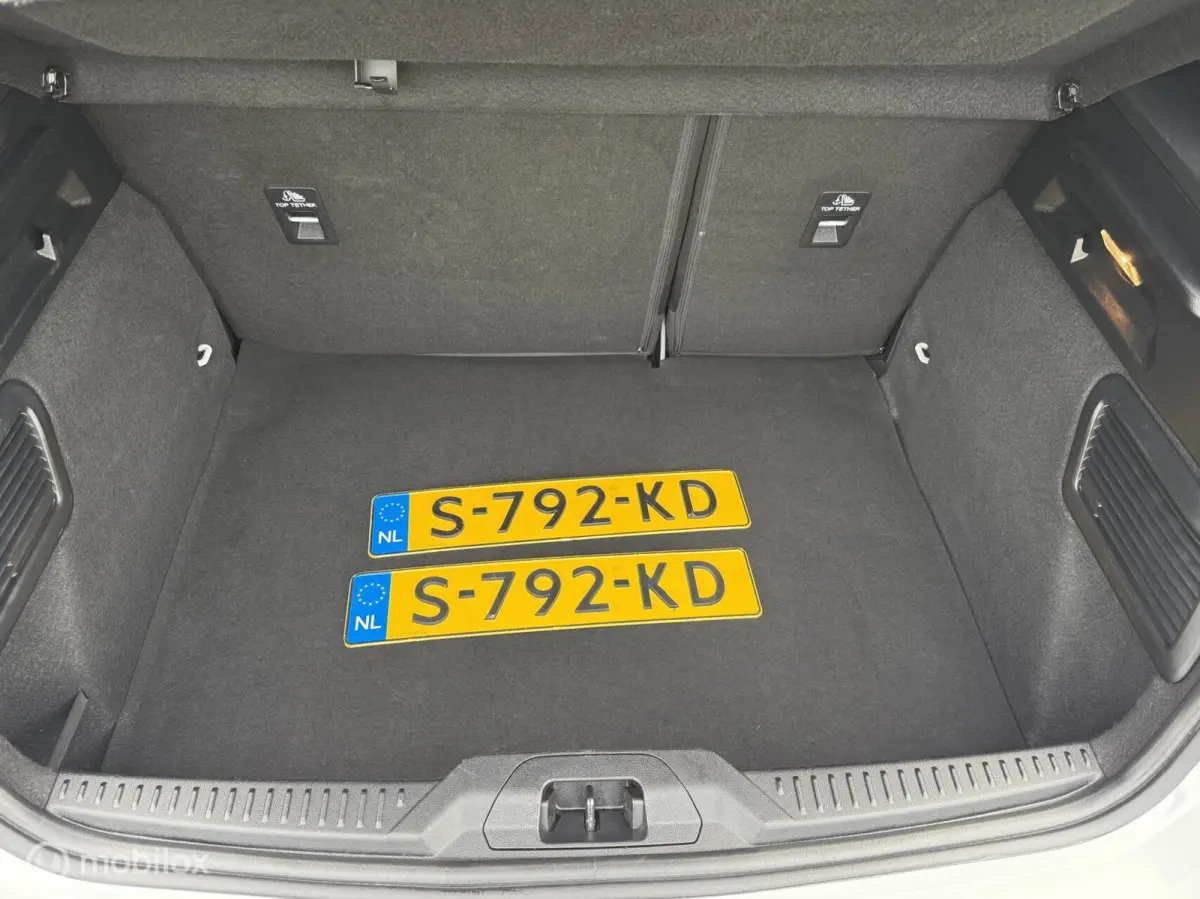 1.0 EcoBoost ST Line Automaat Pano Camera Winterpack