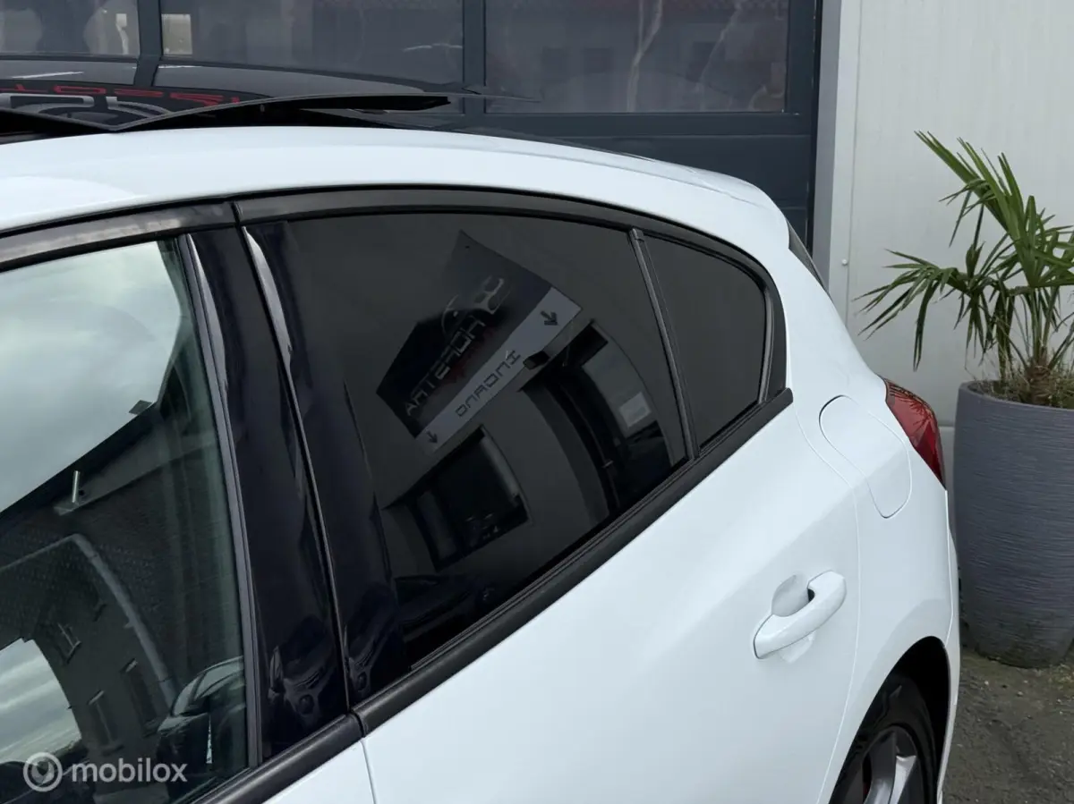 1.0 EcoBoost ST Line Automaat Pano Camera Winterpack