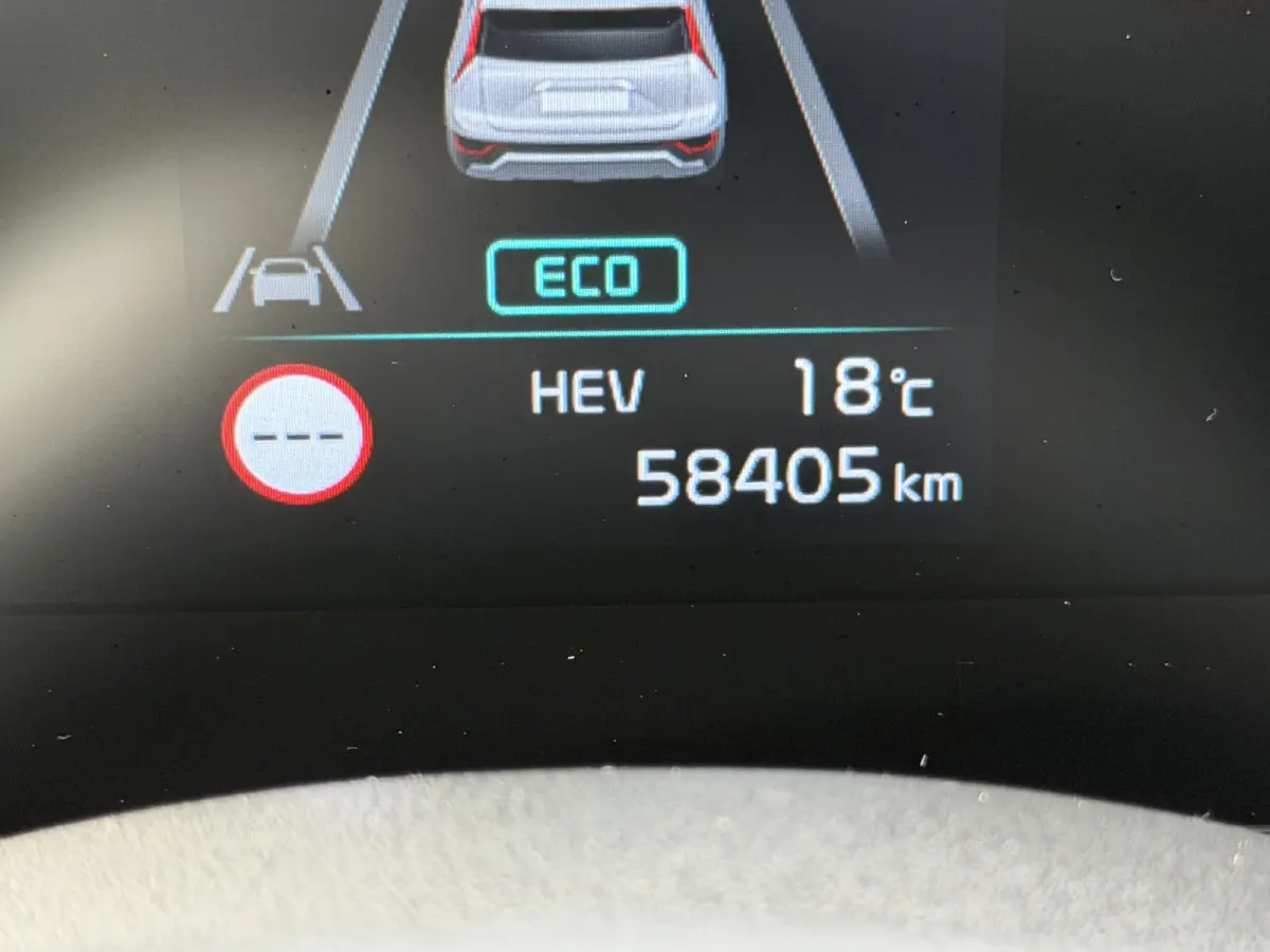 1.6 GDi PHEV DynamicLine Camera | Assistentiepakket