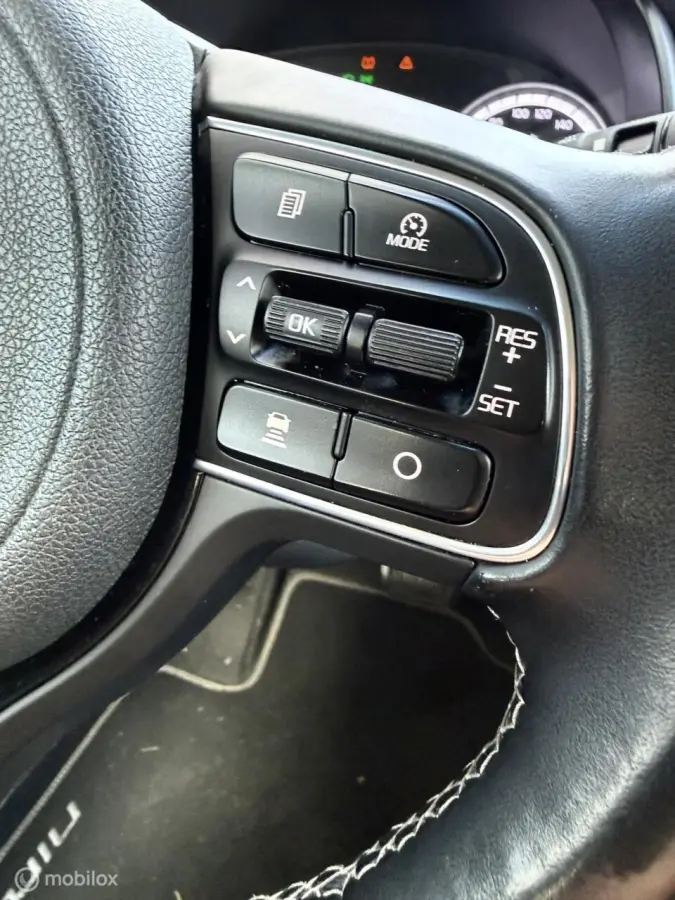 1.6 GDi Hybrid executive line Full options NL
