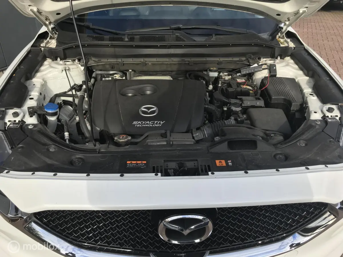 2.0 SkyActiv-G 165 Business Luxury