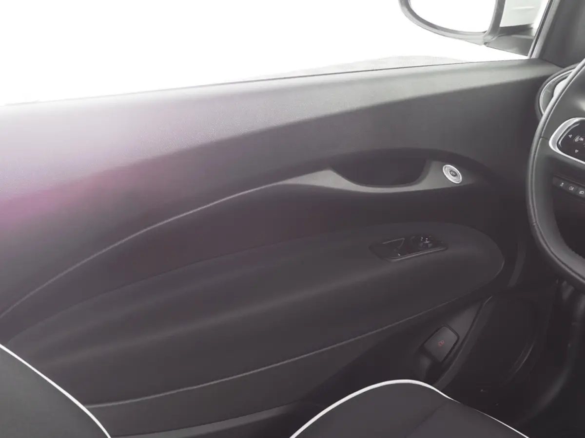 Icon 42 kWh | LM VELGEN | NAVI | CARPLAY | SOH: 98,4% | !
