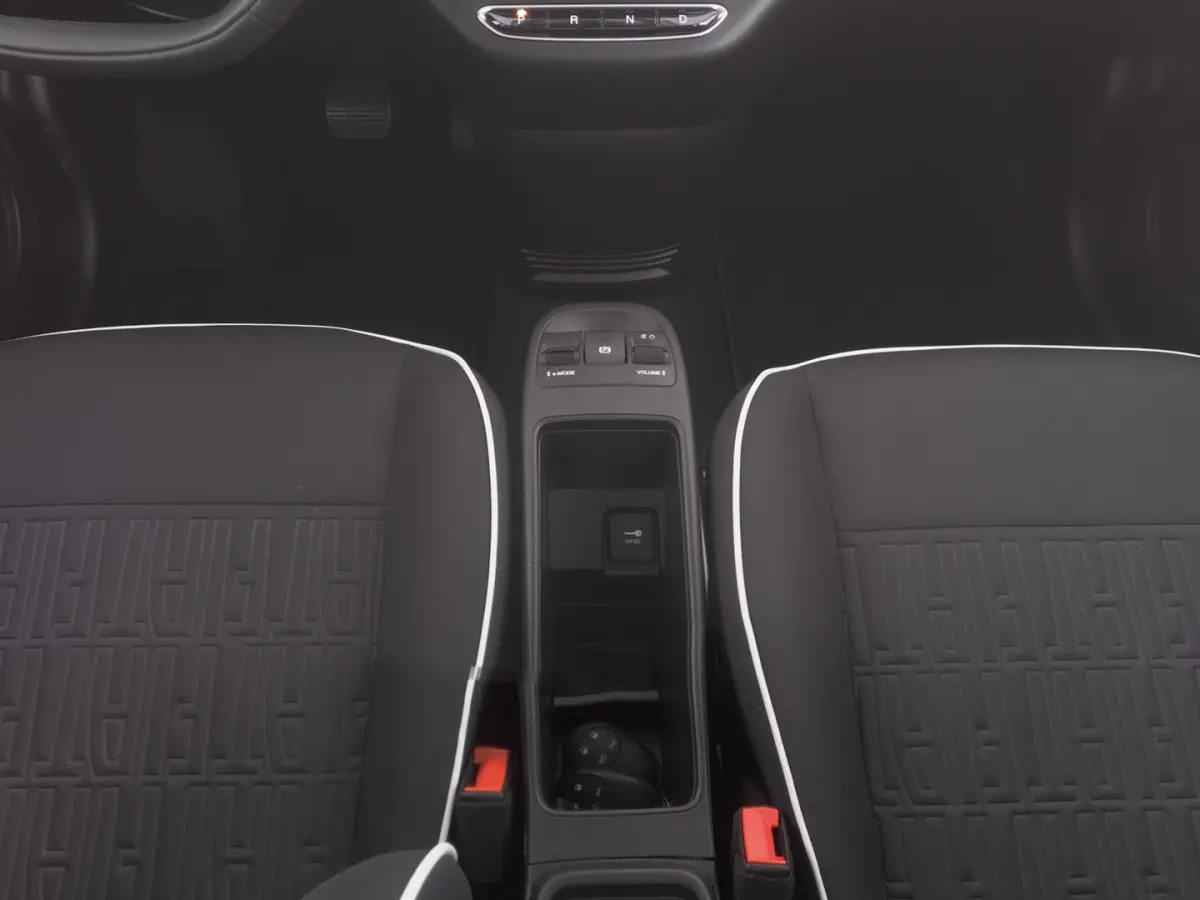 Icon 42 kWh | LM VELGEN | NAVI | CARPLAY | SOH: 98,4% | !