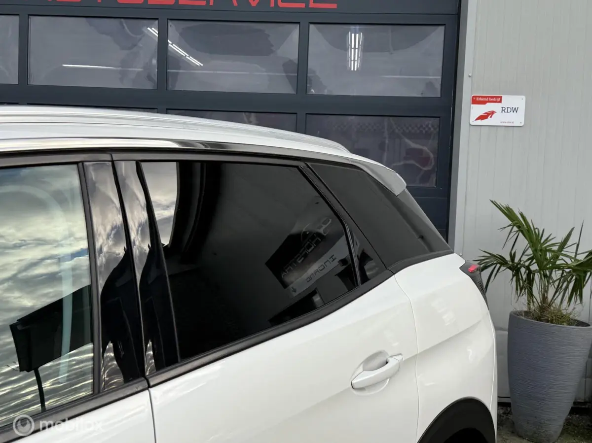 1.2 PureTech Blue Lease Executive Trekhk Distr-riem-vv
