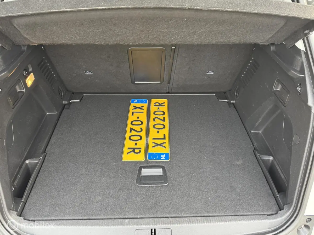 1.2 PureTech Blue Lease Executive Trekhk Distr-riem-vv