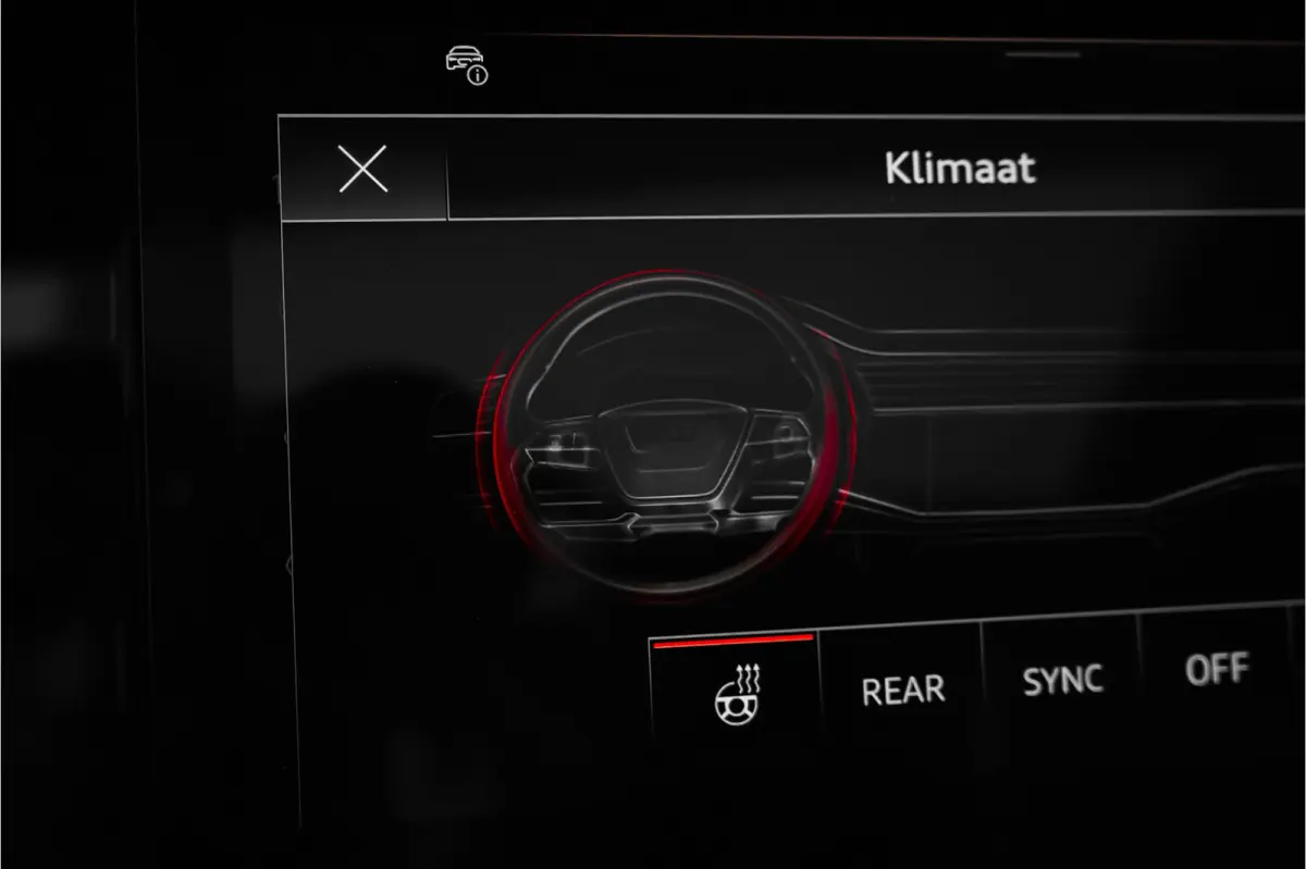 55 TFSI e Quattro Pro Line S Pano Luchtvering Bose Trekhaak