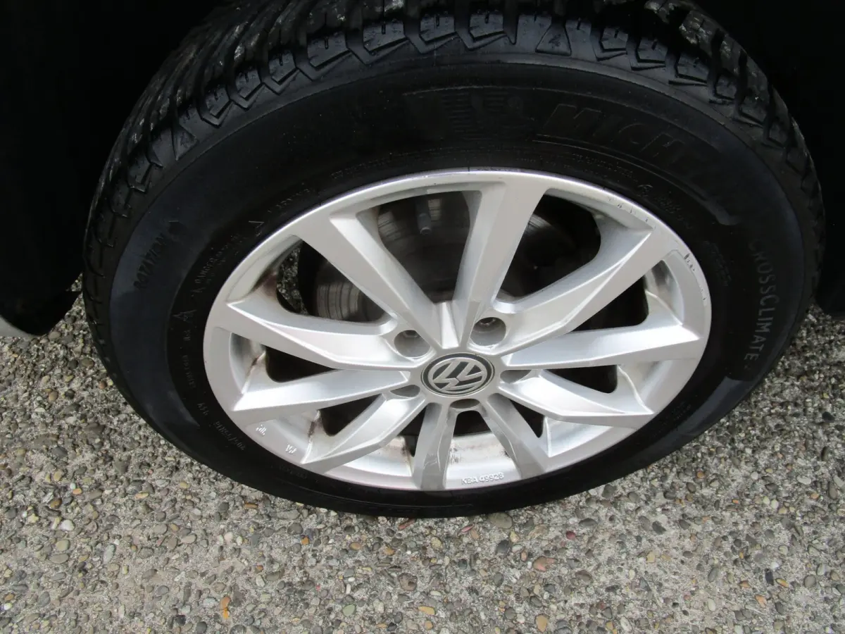 2.0 TDI L2H1 BMT Maxi Exclusive Edtion 2019