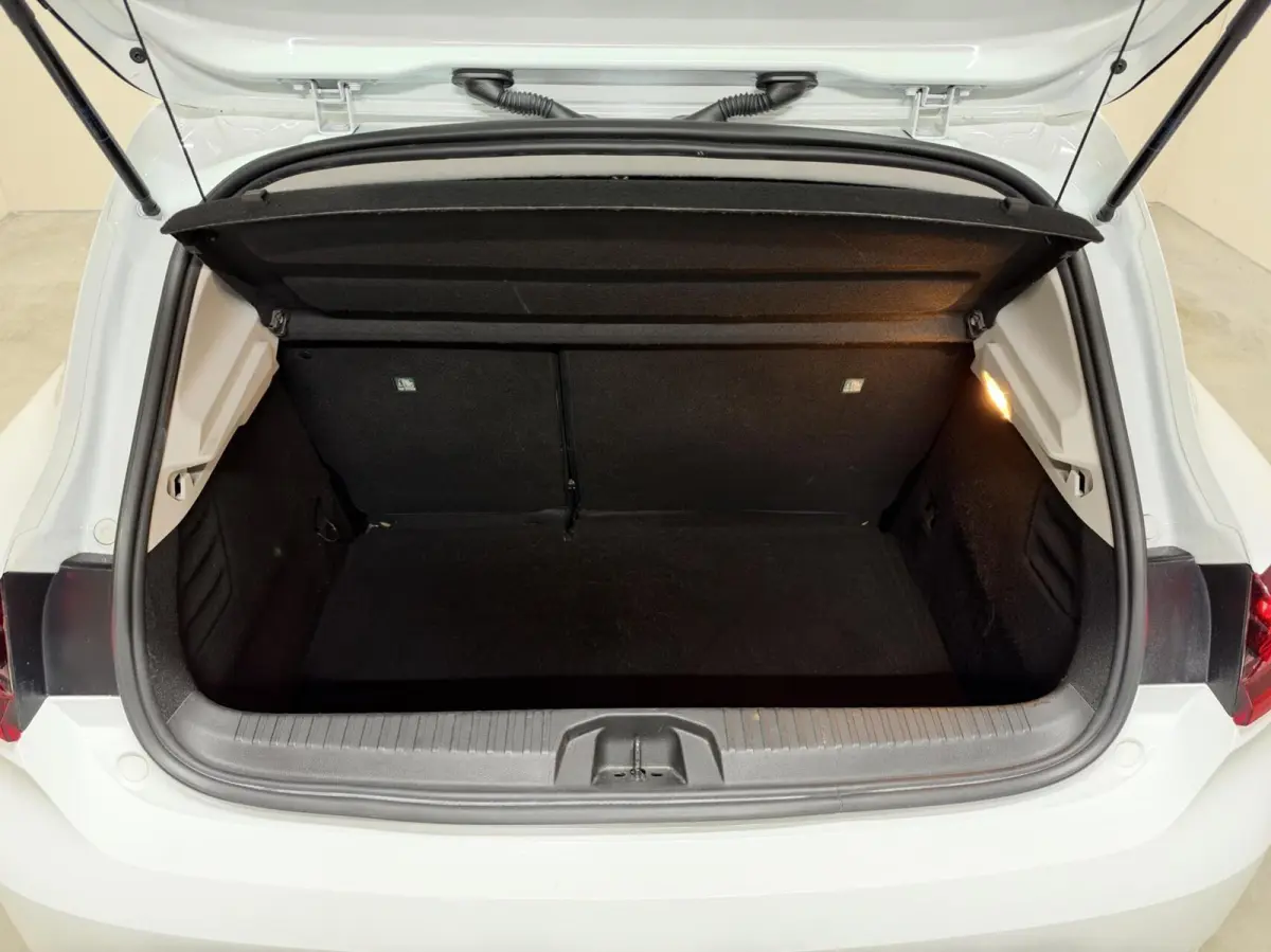 1.0 TCe Life Airco Cruise Carplay PDC NAP