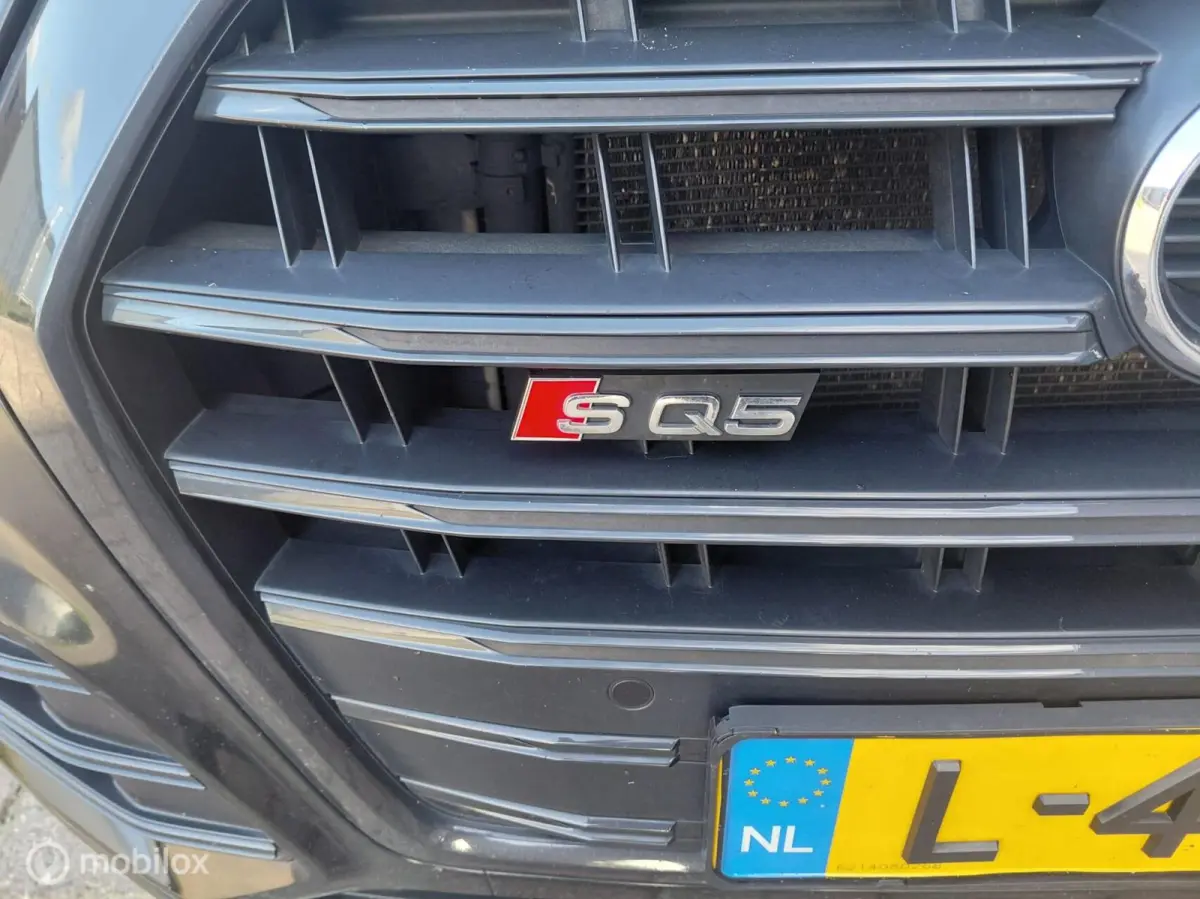 SQ5 3.0 TFSI SQ5 quattro Pro Line Plus