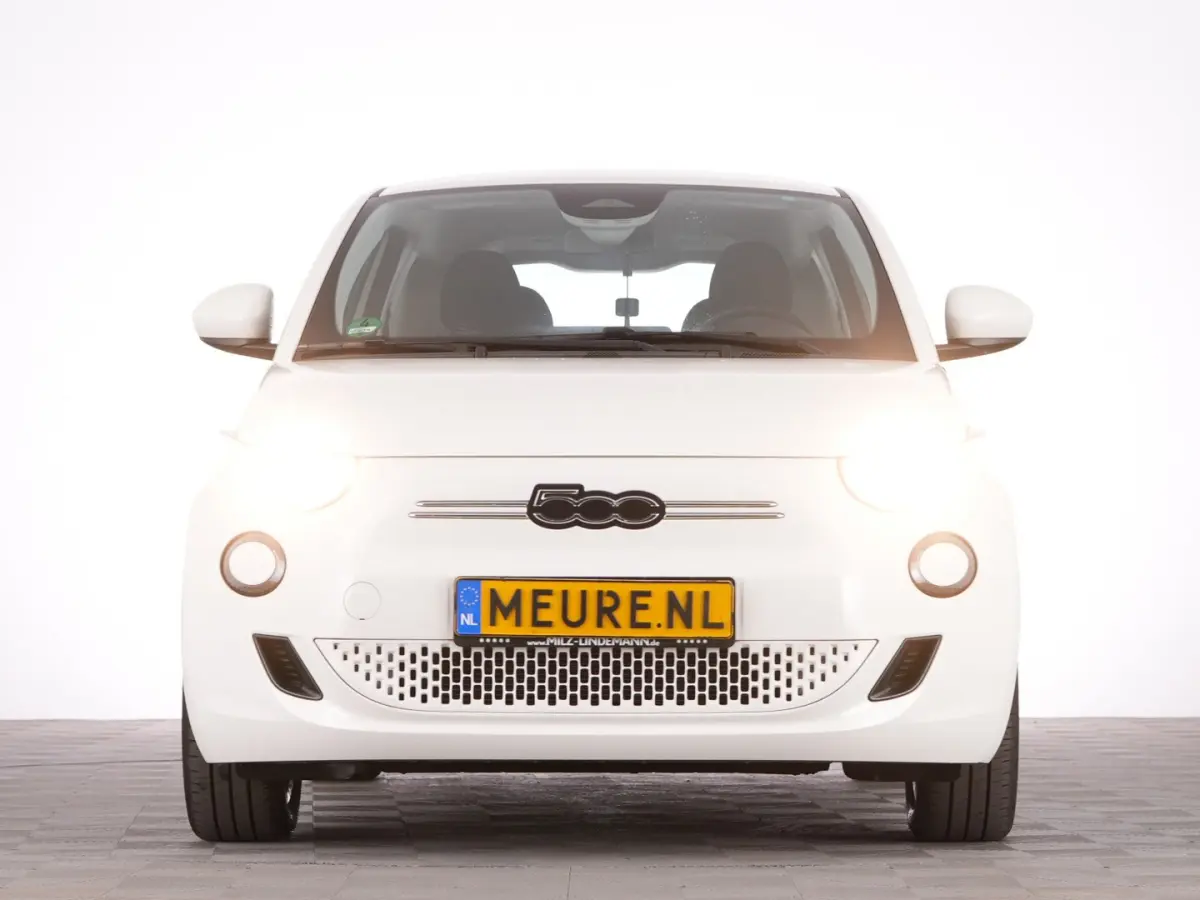 Icon 42 kWh | LM VELGEN | NAVI | CARPLAY | SOH: 96,9% | !