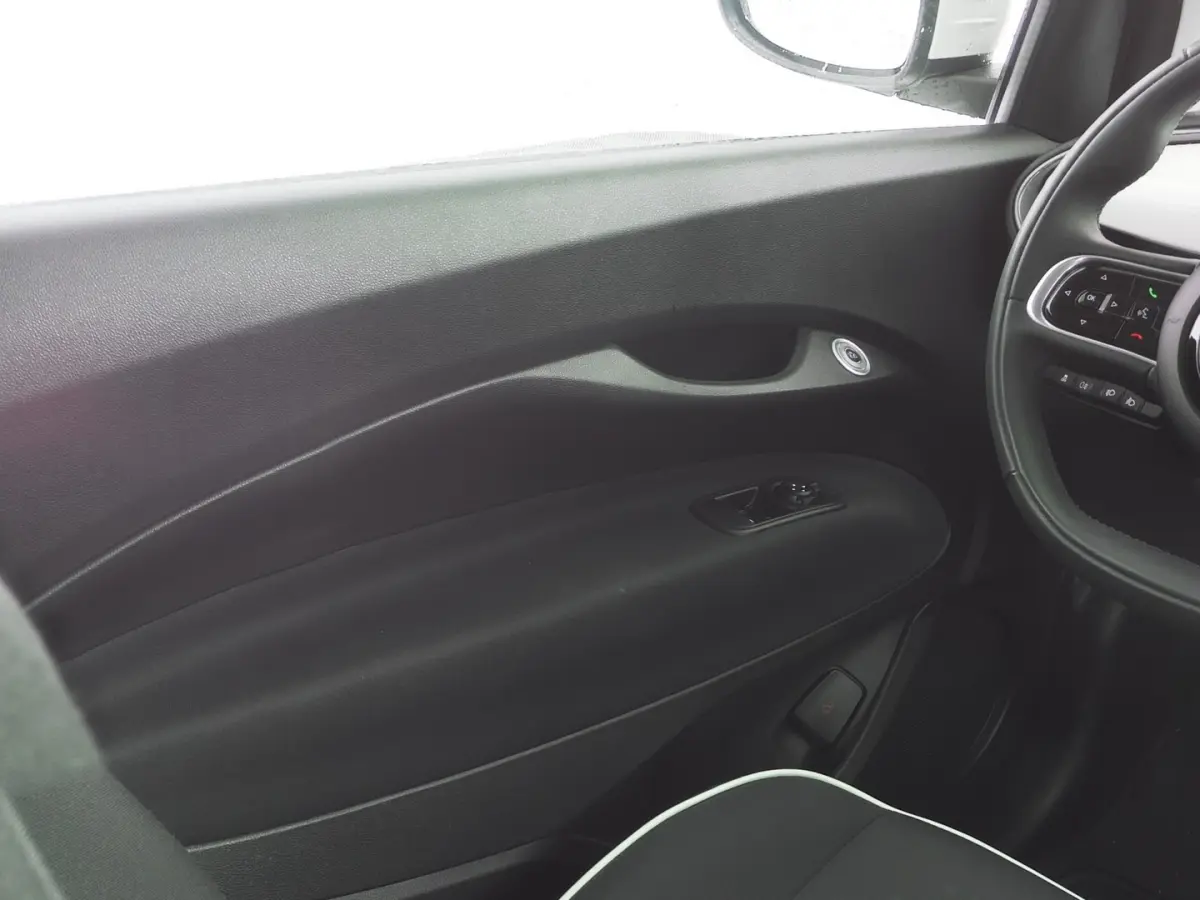 Icon 42 kWh | LM VELGEN | NAVI | CARPLAY | SOH: 96,9% | !