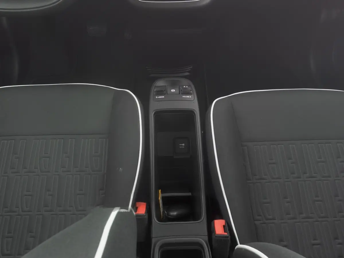 Icon 42 kWh | LM VELGEN | NAVI | CARPLAY | SOH: 96,9% | !