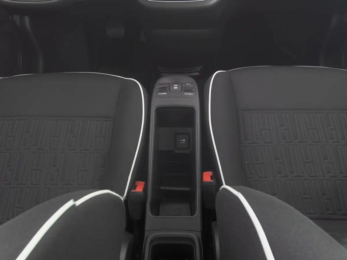 Icon 42 kWh | LM VELGEN | CARPLAY | SOH: 97,25% | !