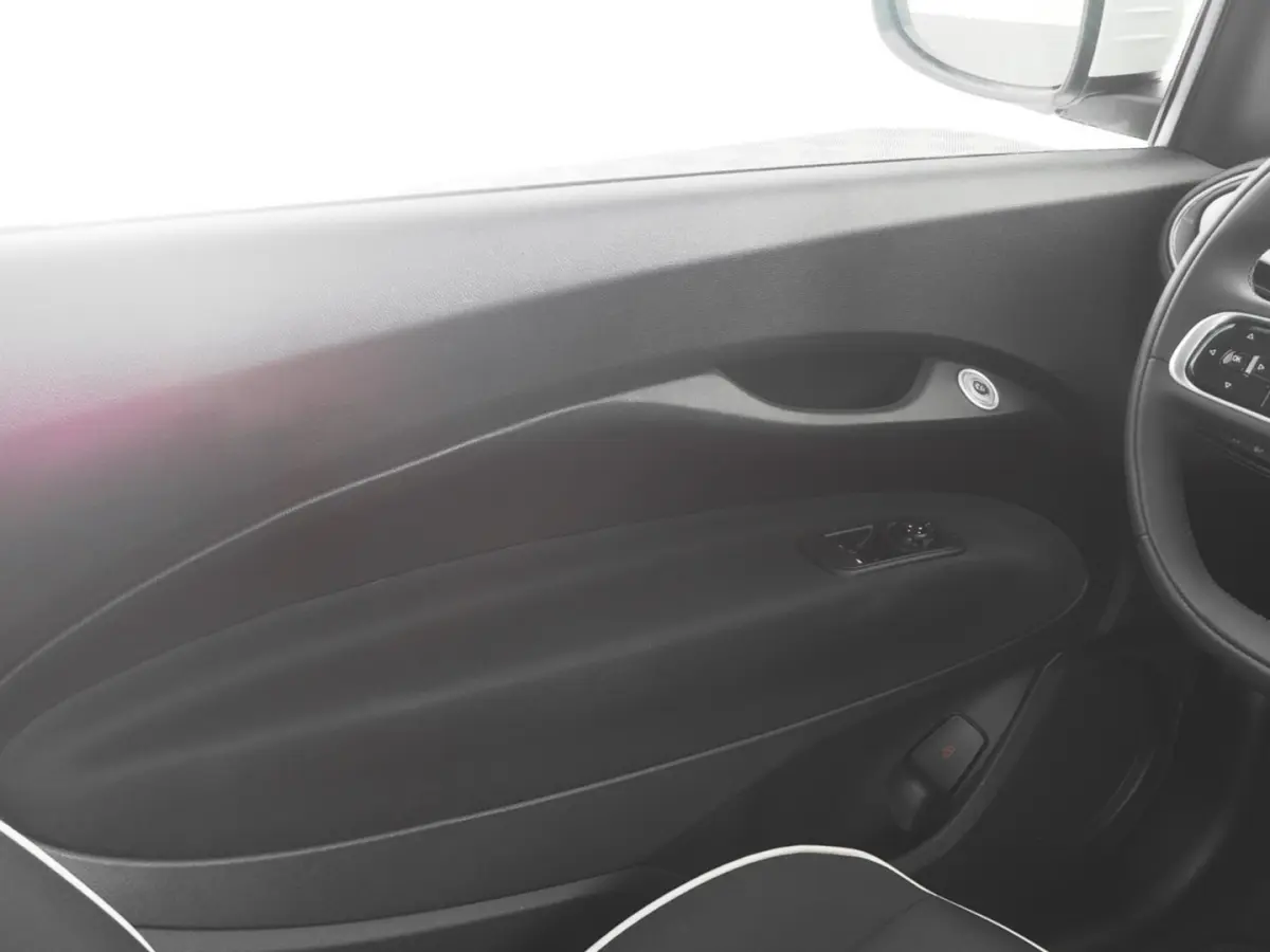 Icon 42 kWh | LM VELGEN | NAVI | CARPLAY | SOH: 95,7% | !