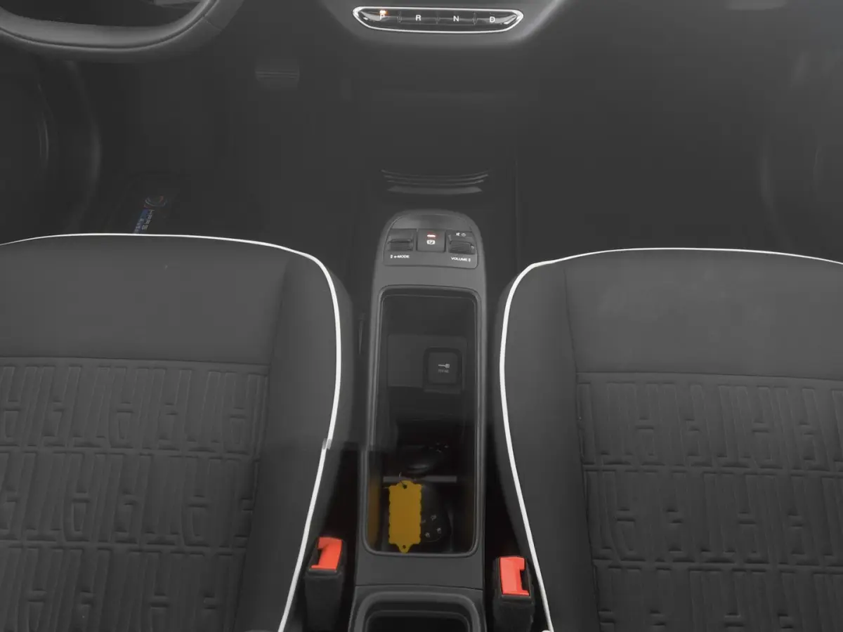 Icon 42 kWh | LM VELGEN | NAVI | CARPLAY | SOH: 95,7% | !