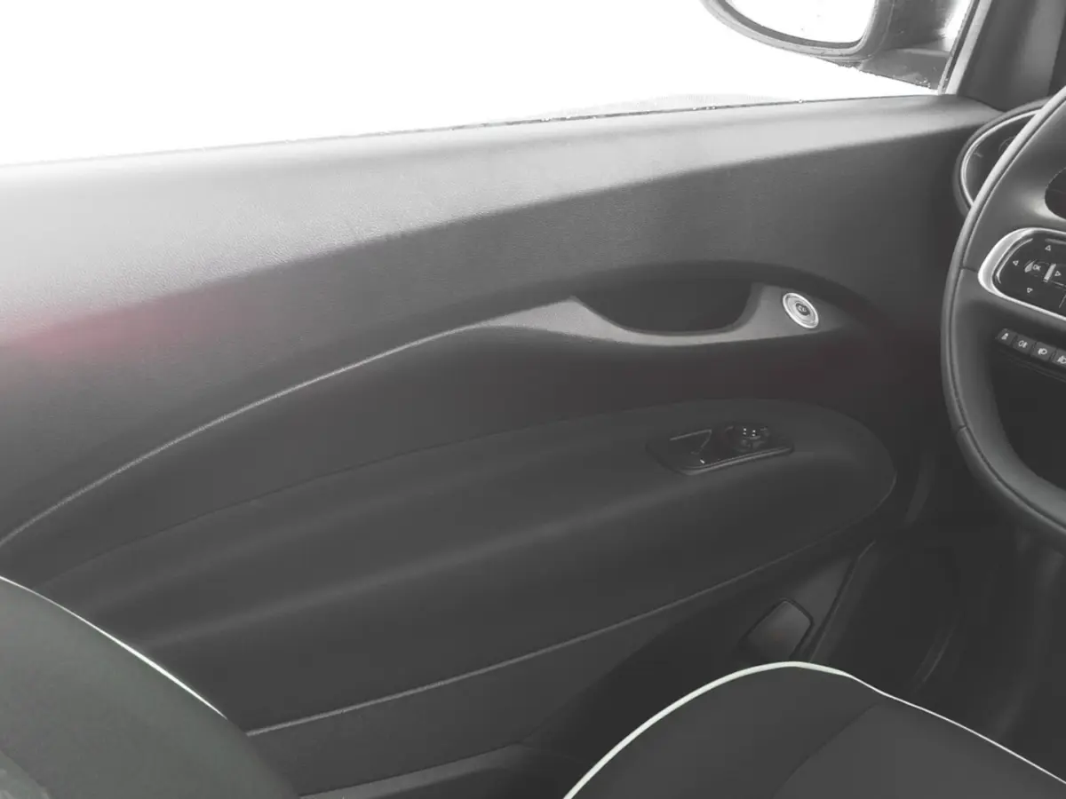 Urban 42 kWh | CARPLAY | AIRCO | SOH: 95,7% | !