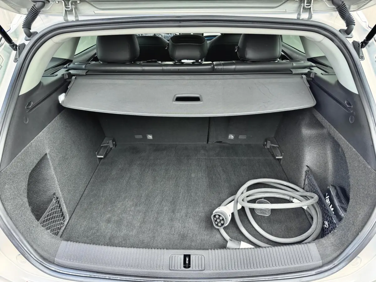 Electric 50 kWh Luxury | 360° | ACC | Leder