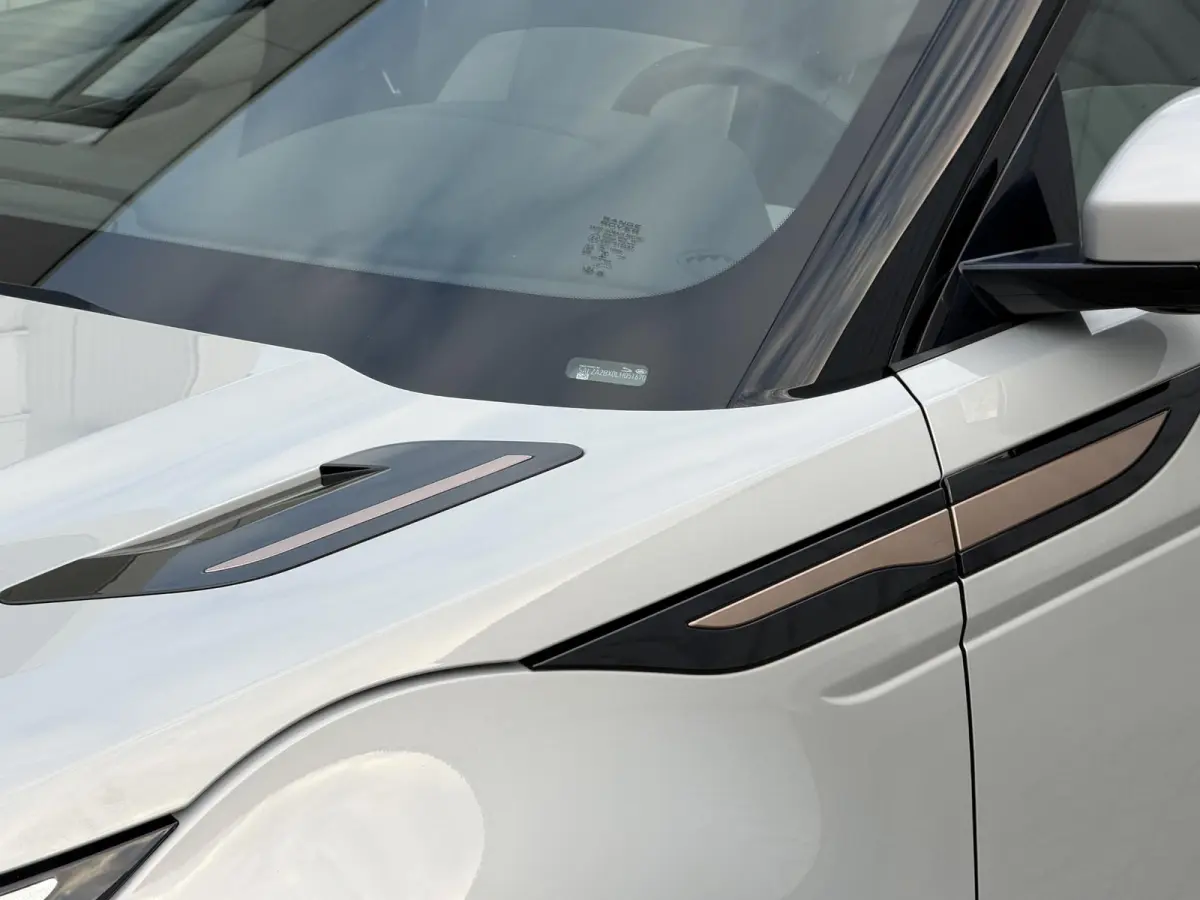 2.0 P200 AWD R-Dynamic S | NL-Auto/Pano-dak/20-inch/Meridian/Carplay/Leder