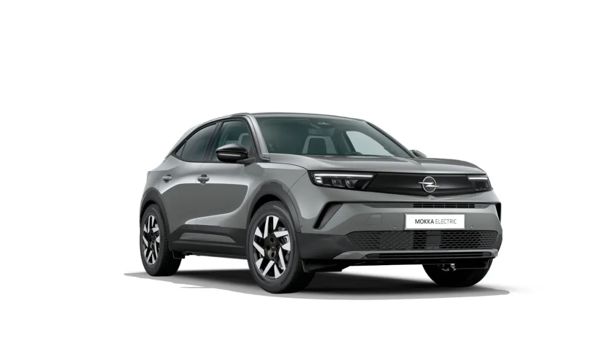 Business Edition - Electric | 17" Lichtmetalen velgen | Achteruitrijcamera | Adaptive Cruise control