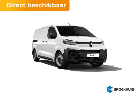 Standaard - Elektrisch | Elektrisch bedienbare en verwarmbare buitenspiegels | Onboard lader 11Kw - 3 fase | Pack Look op XS en M