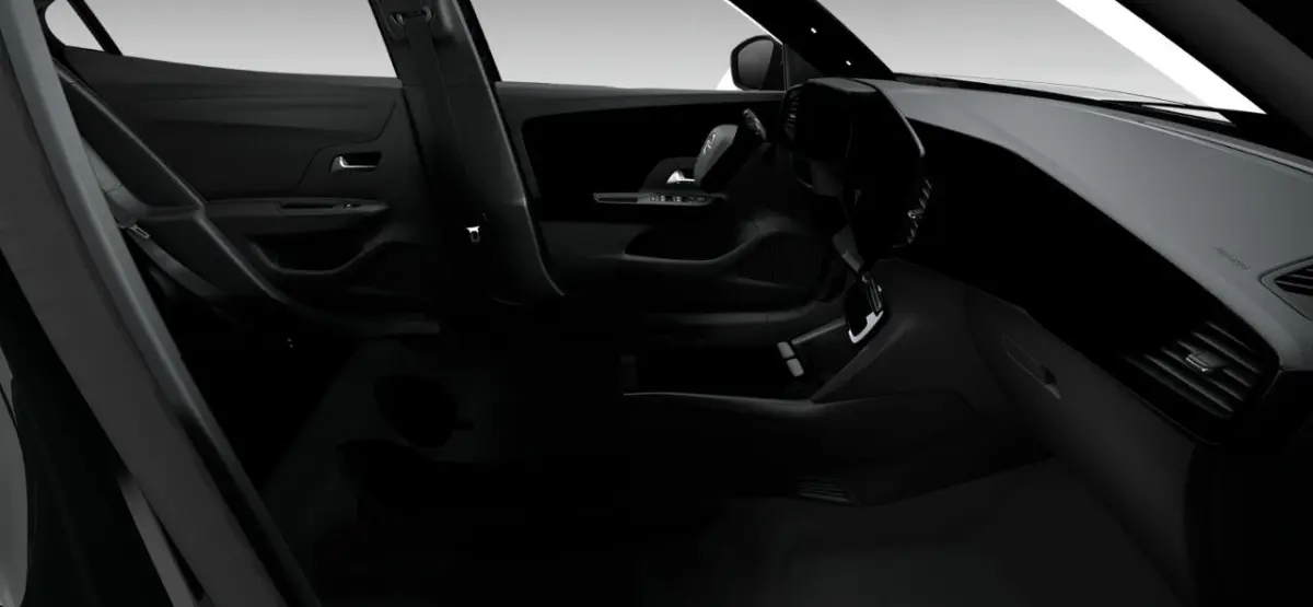 Business Edition - Electric | 17" Lichtmetalen velgen | Achteruitrijcamera | Adaptive Cruise control