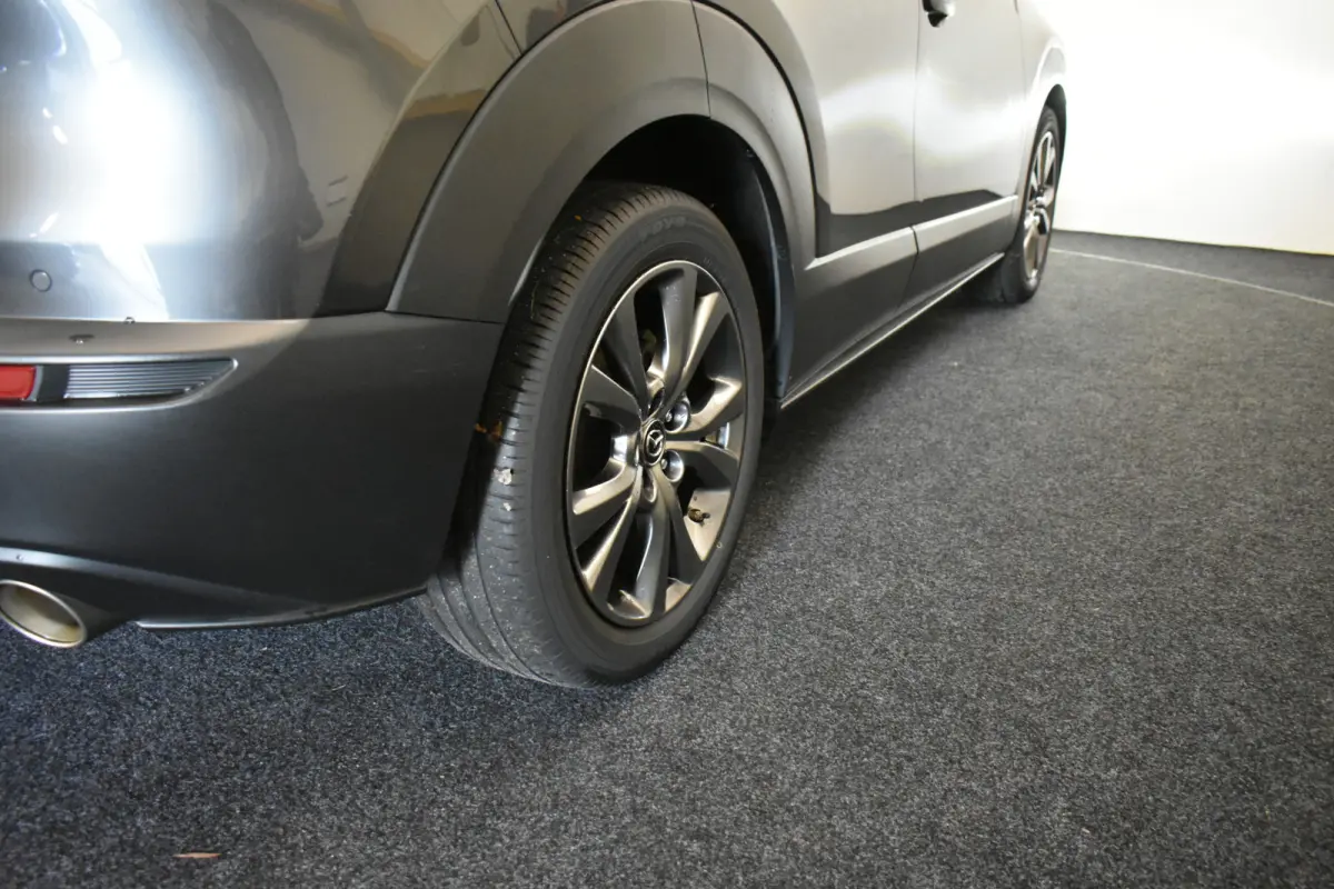 2.0 e-SkyActiv-X M Hybrid Luxury El aKlep+Stoel Bose Headup Vol leder Dodh