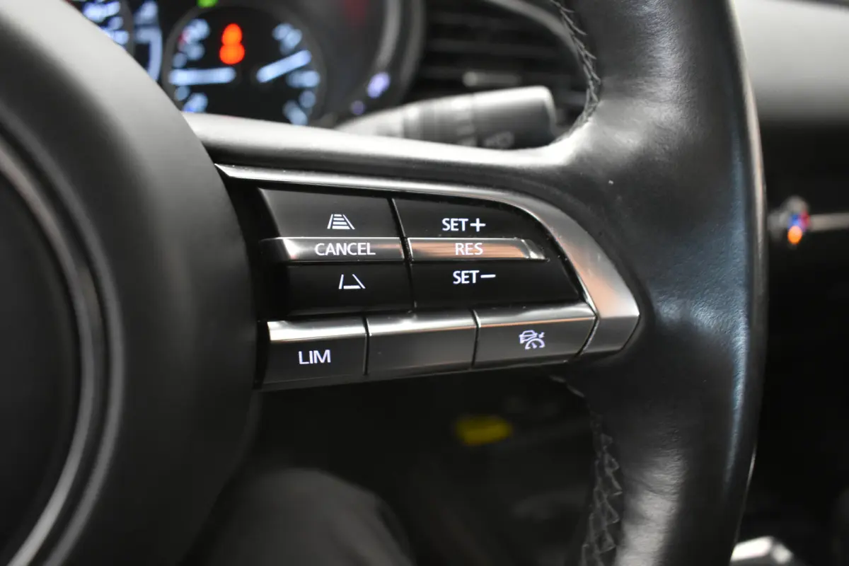 2.0 e-SkyActiv-X M Hybrid Luxury El aKlep+Stoel Bose Headup Vol leder Dodh