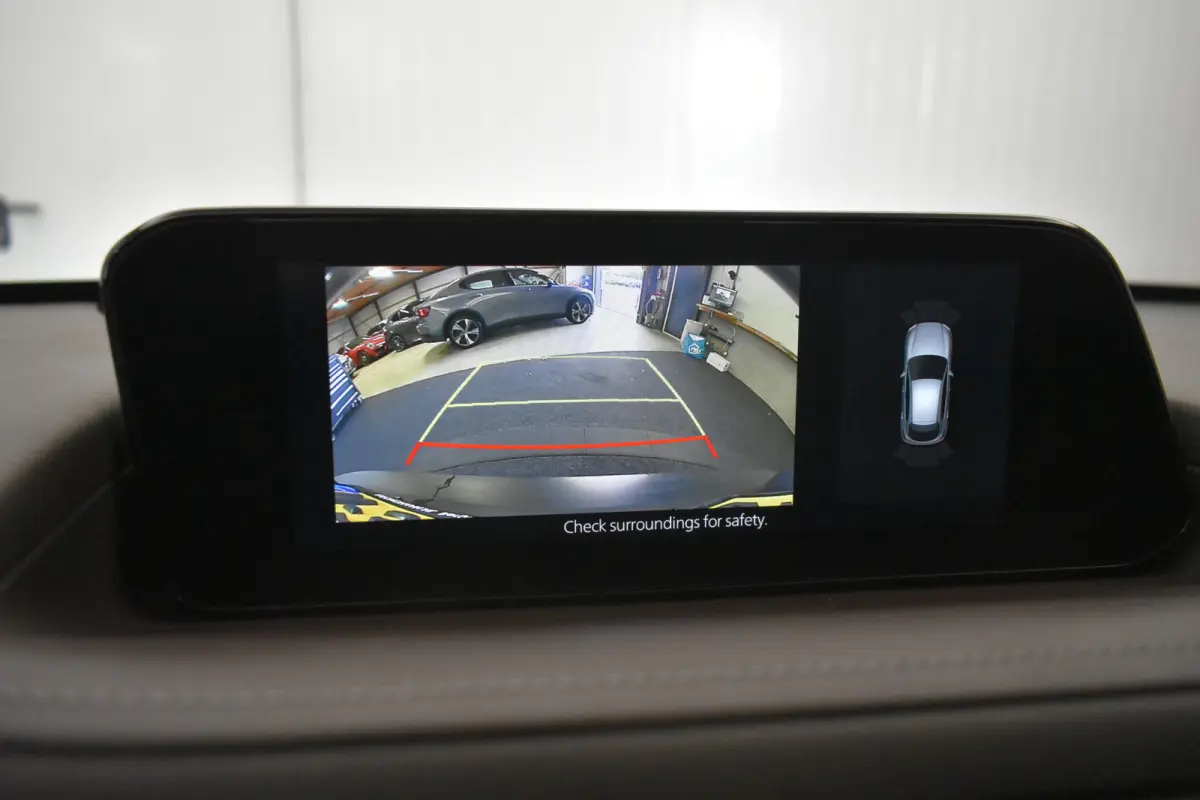 2.0 e-SkyActiv-X M Hybrid Luxury El aKlep+Stoel Bose Headup Vol leder Dodh