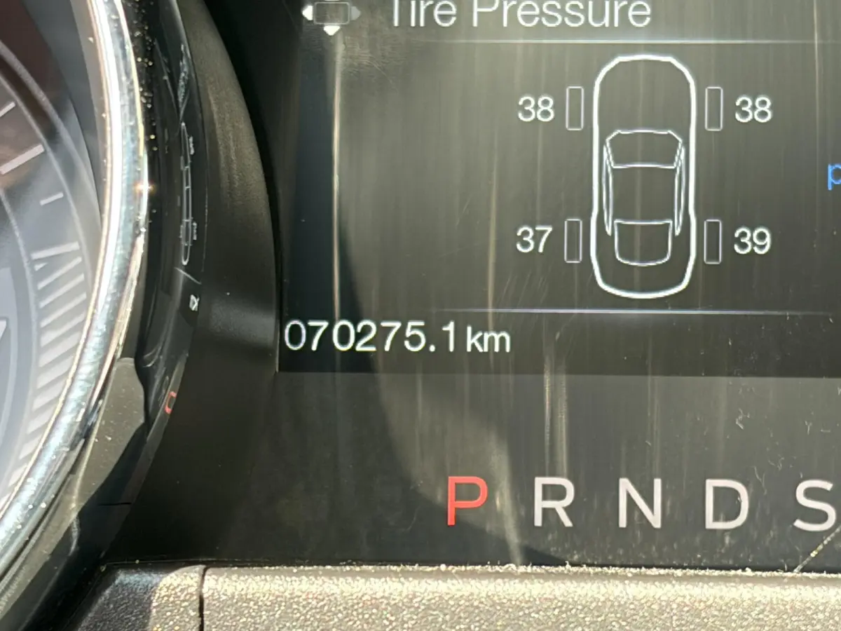 2.3 EcoBoost / 317 PK / Automaat / Race-Striping / Borla Performance sport-uitlaat / Vol-lederen stoelen mét verwarming en koeling / Keyless entry / Schakelflippers stuurwiel / Xenon lampen