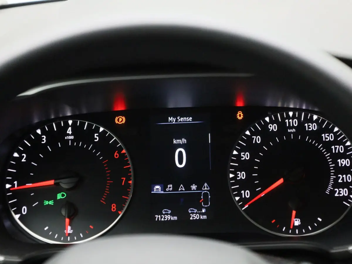 1.3 TCe Business Zen | WORDT VERWACHT | ACHTERUITRIJCAMERA | APPLE CARPLAY - ANDROID AUTO | CLIMATE CONTROL | CRUISE CONTROL | LED | KEYLESS |
