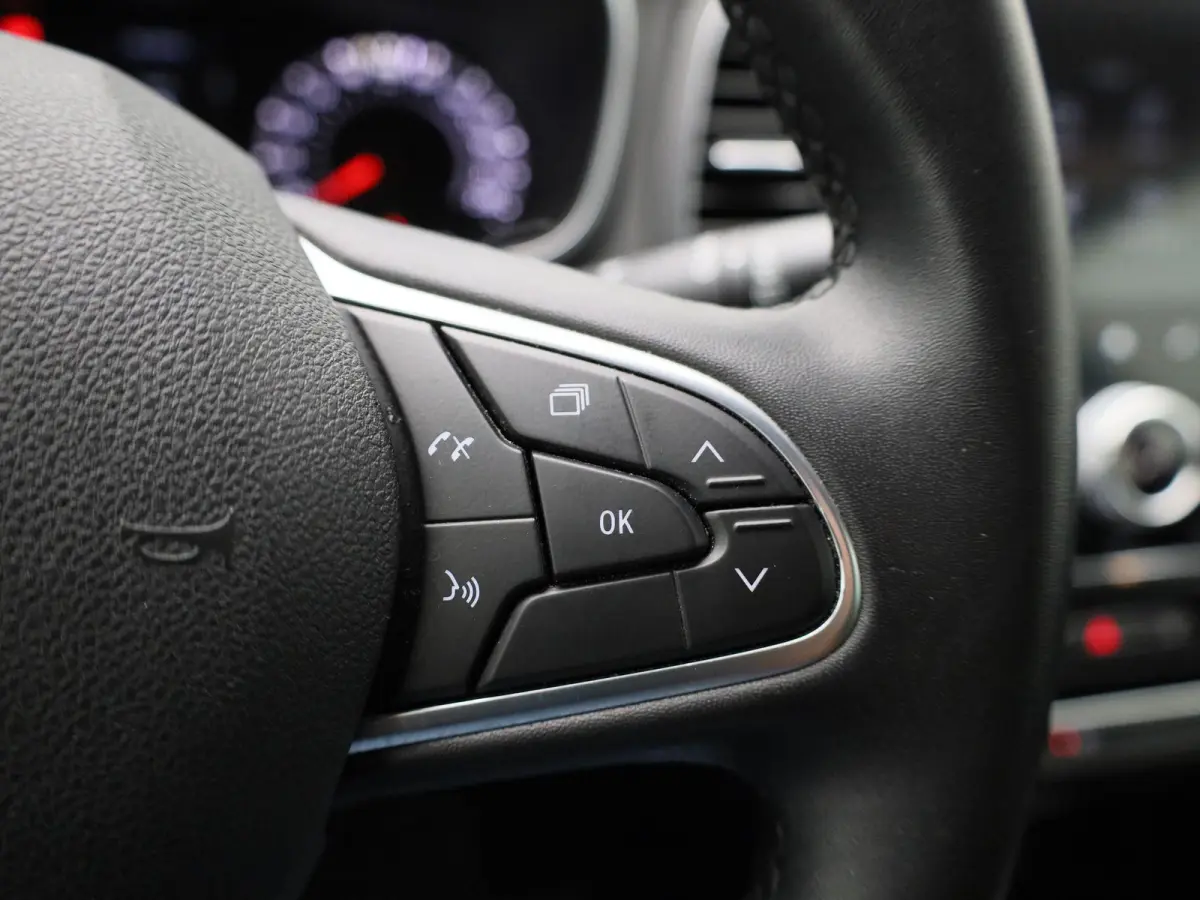 1.3 TCe Business Zen | WORDT VERWACHT | ACHTERUITRIJCAMERA | APPLE CARPLAY - ANDROID AUTO | CLIMATE CONTROL | CRUISE CONTROL | LED | KEYLESS |