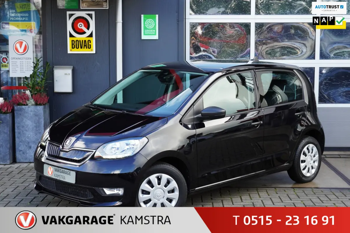 EV Ambition 61 kW NAP 5-deurs/Stoelverw.
