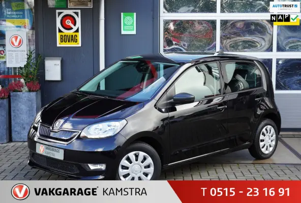 EV Ambition 61 kW NAP 5-deurs/Stoelverw.