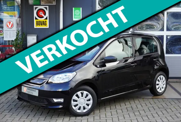EV Ambition 61 kW NAP 5-deurs/Stoelverw.