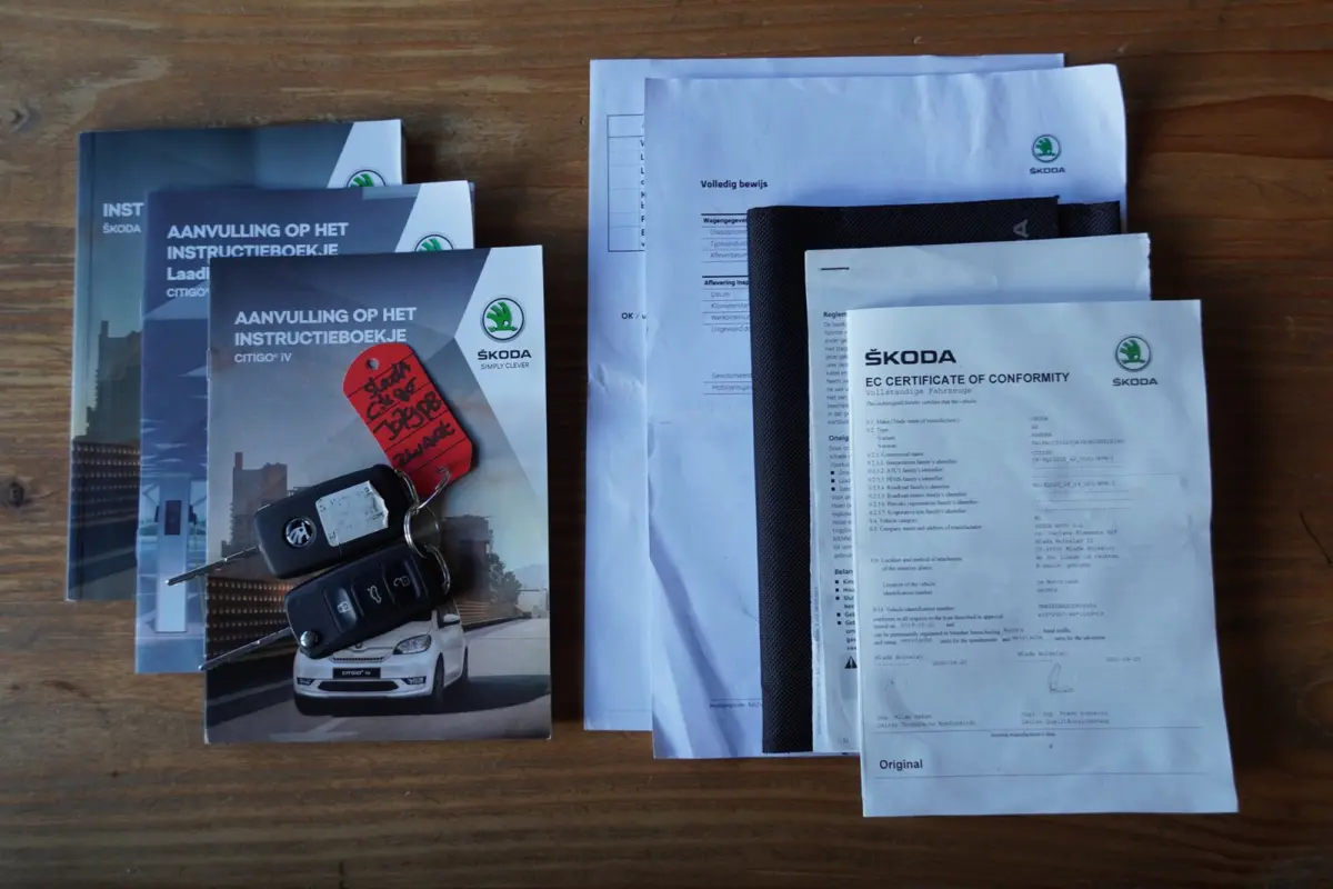 EV Ambition 61 kW NAP 5-deurs/Stoelverw.