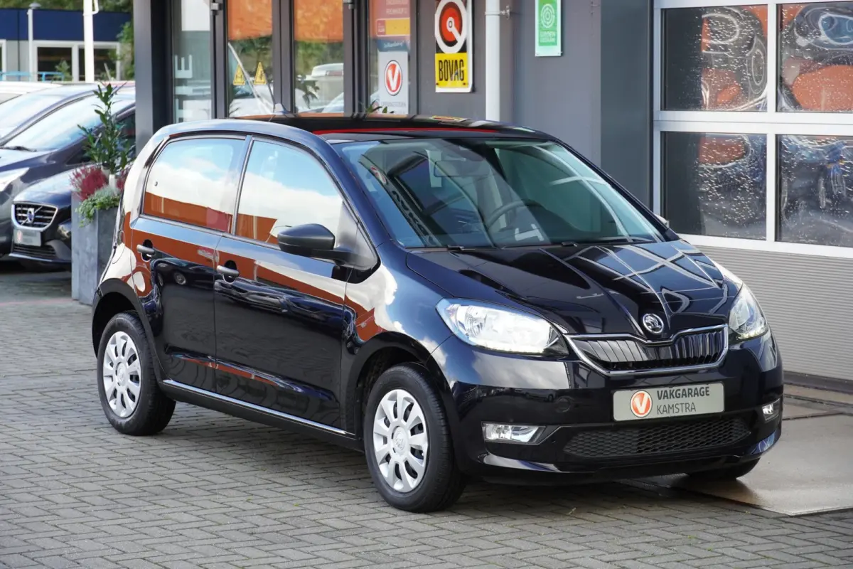 EV Ambition 61 kW NAP 5-deurs/Stoelverw.
