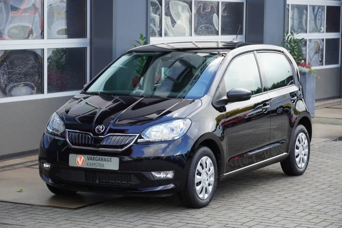 EV Ambition 61 kW NAP 5-deurs/Stoelverw.