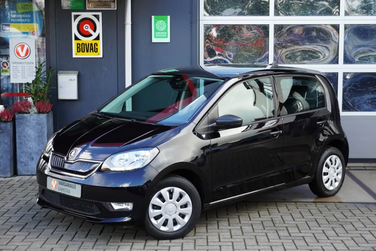 EV Ambition 61 kW NAP 5-deurs/Stoelverw.