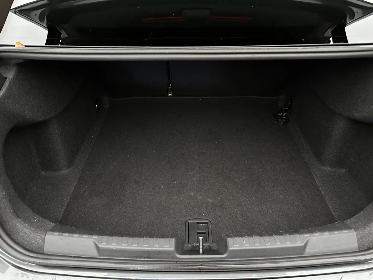 35 TFSI S-Line | Dak| Sfeer| Adaptive cruise|