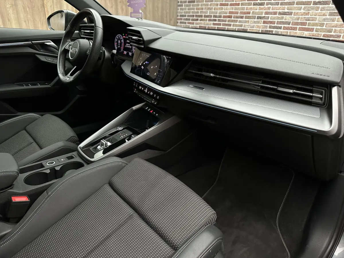 35 TFSI S-Line | Dak| Sfeer| Adaptive cruise|