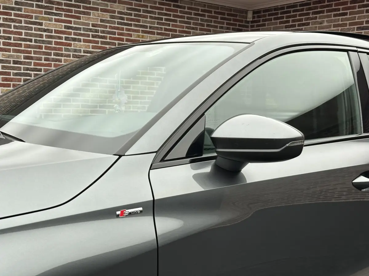 35 TFSI S-Line | Dak| Sfeer| Adaptive cruise|